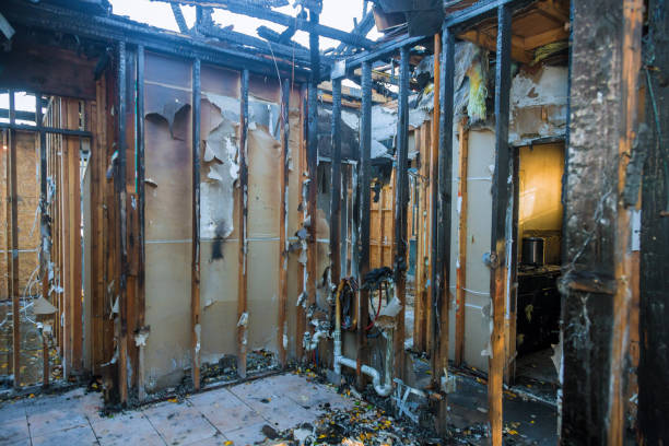 Professional Fire Damage Repair technician working in Dash Point, WA